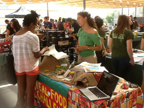 Arizona University Students Pro-Active in Green Initiative Efforts